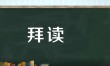 能否给出“拜读”的实例？