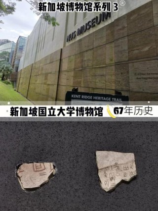 LiveCC – 字节联合新加坡国立大学开源的实时视频解说模型