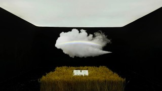 陈漫个展“龙·雨·田”，以龙为引，自然与共