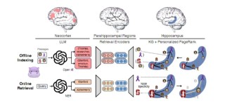 AI界的“海马体”：HippoRAG技术如何让机器像人类一样思考？