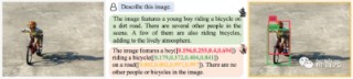 多模态大模型幻觉降低30%！中科大等提出首个幻觉修正架构「Woodpecker」啄木鸟