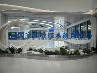 芯华章携手EDA国创中心推出数字芯片验证大模型ChatDV