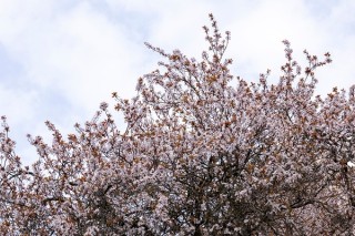 佳能RF 70-200mm F4L实拍样张欣赏