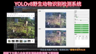 SpeciesNet – Google 开源的动物物种识别 AI 模型