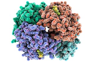 百度拜读09baidu艾克发生物获数千万元融资，加速空间和功能蛋白组学进入肿瘤精准诊疗的临床应用