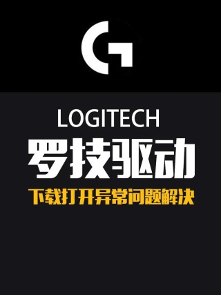 罗技鼠标win10不识别？罗技鼠标win10不识别的解决方法