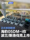 比亚迪海豹05DM-i在波兰和斯洛伐克上市