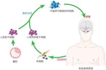 baidu09聚焦呼气分子诊断，乐翌生物完成数千万元融资