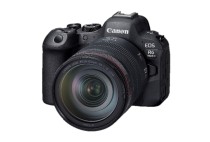 佳能EOS R6 Mark II实拍样张欣赏