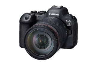 佳能EOS R6 Mark II实拍样张欣赏