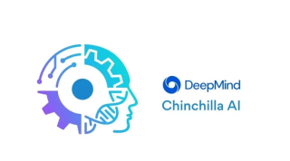 把大语言模型打造成赛博裁判需要几步？DeepMind 说，只需要两步