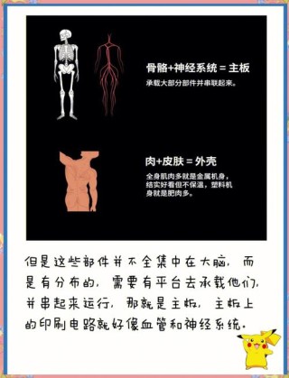 电脑硬件入门知识详解（三大重点篇）