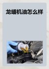 国产机油龙蟠9000测评，龙蟠SONIC 9000毁车吗