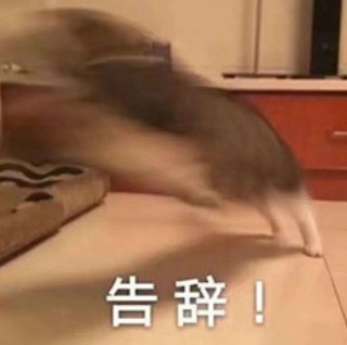豆包超能创意2.0，批量输出效率拉满，创意理解全面进化！