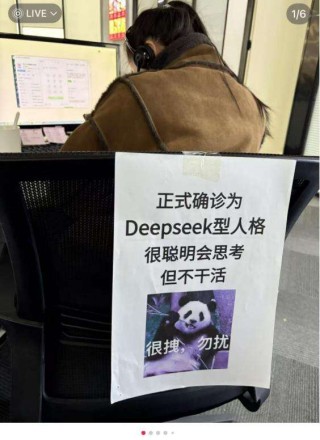 我已确诊为“DeepSeek人格”：勿扰