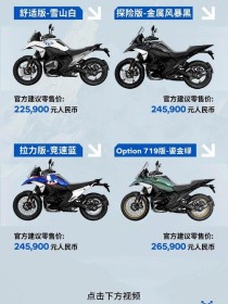 颜值不是重点 宝马全新水鸟R1300GS解析
