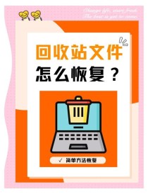超实用！回收站清空的文件能恢复吗？回收站删除的文件怎么恢复？