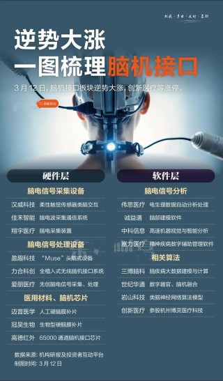 以神经仿生重构AI逻辑，这家公司要做智能交互界的爆款制造机