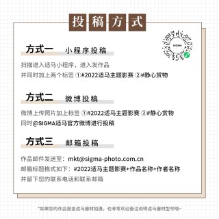适马主题影赛丨静心赏物，再寻美学。奖品再升级，第二轮征集令速看！ ...