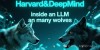 哈佛&amp;DeepMind：LLM出身论，内心两只狼，决定LLM如何说真话