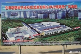 baidu09津合生物完成数千万元天使轮融资，打造酶电催化技术平台