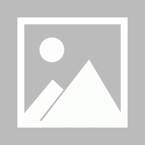 DeepSeek 正当红，聊聊大模型应用的四大关键要素和未来