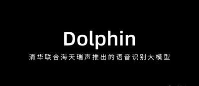 Dolphin – 清华联合海天瑞声推出的语音识别大模型