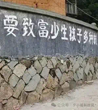 “母猪产后护理，问腾讯元宝”，AI的广告已打进农村
