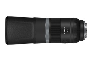 佳能RF 800mm F11 IS STM实拍样张欣赏