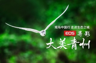 观鸟中国行走进青州 EOS寻影生态之城