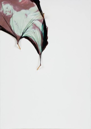 蒋鹏奕个展于谢画廊开展