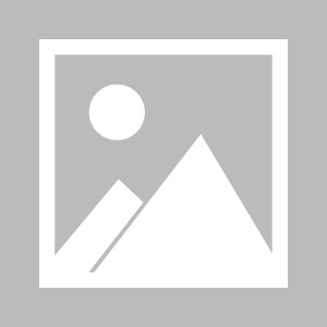 一汽奥迪Q6L e-tron上市，重设豪华纯电SUV价值