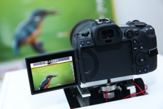 佳能EOS R5等新品威武亮相 现场体验真香