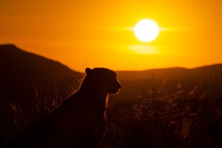超长焦轻松体验 腾龙发布150-500mm F／5-6.7 Di III VC VXD镜头