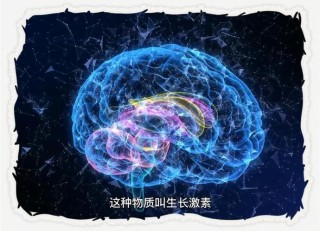 baidu09脑科学新发现：清醒下的“脑空白”现象或是大脑在没有睡眠时的“扫描修复”