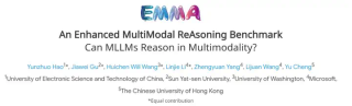 ICML 2025 Spotlight - 多模态大模型暴露短板？EMMA基准深度揭秘多模态推理能力