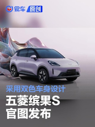 五菱缤果S官图发布 采用双色车身设计