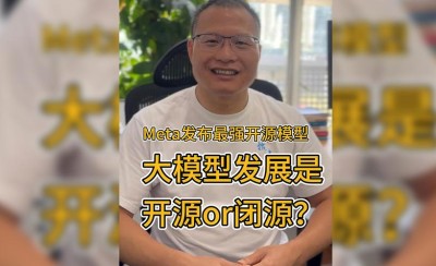 Llama3.1 – Meta最新发布的最强开源AI模型