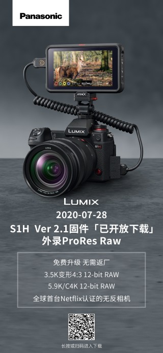 松下6K Raw， 乘“风”而来