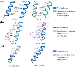 AlphaGenome – 谷歌推出的AI基因变异预测模型