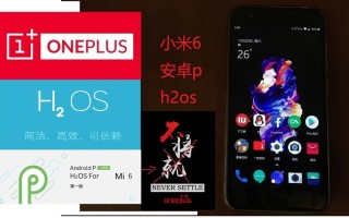 国内首家公测一加推出AndroidPBeta版