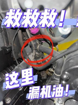 手摸排气管判断烧机油