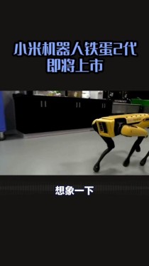 小米机器人入驻小米汽车工厂,已研发铁大、铁蛋等机器人