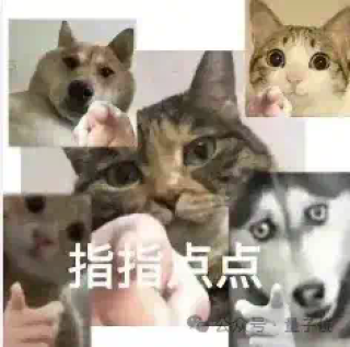推理大模型1年内就会撞墙，性能无法再扩展几个数量级 - FrontierMath团队最新研究