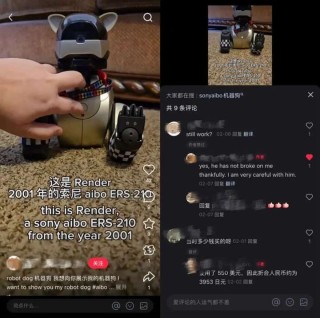 一年卖出3万台，机器狗究竟有啥用？
