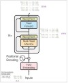 ViTPose – 基于 Transformer 架构的人体姿态估计模型