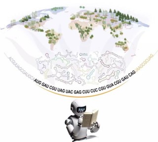 WorldMem – 南洋理工联合北大和上海 AI Lab 推出的世界生成模型
