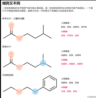 AI能帮忙破解嗅觉密码吗？