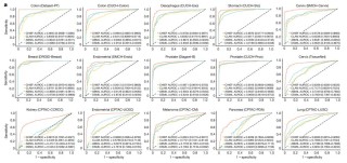 精准“算病”，AI检测癌症，准确率高达94%，研究登上Nature