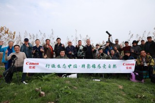 行摄生态中国 邂逅鄱阳湖白鹤仙子